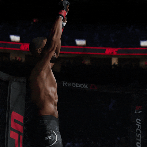 it's time fight GIF by EA SPORTS UFC
