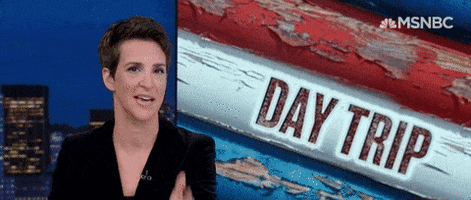 excited rachel maddow GIF