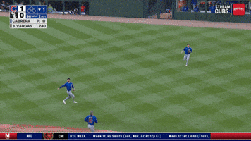 Chicago Cubs Baseball GIF