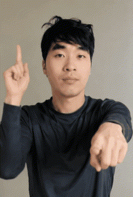 Face Japan GIF
