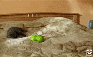 200.gif