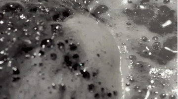lisahoogmoet lush GIF