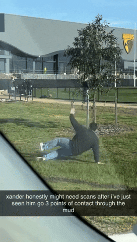 Xander Mcquire GIF
