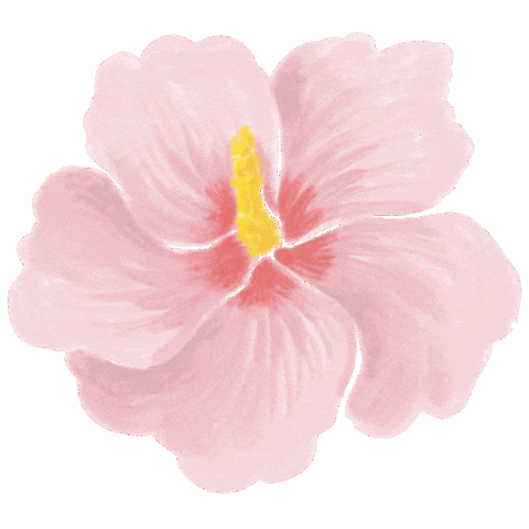 Drfelisflower Sticker by Dr.Felis