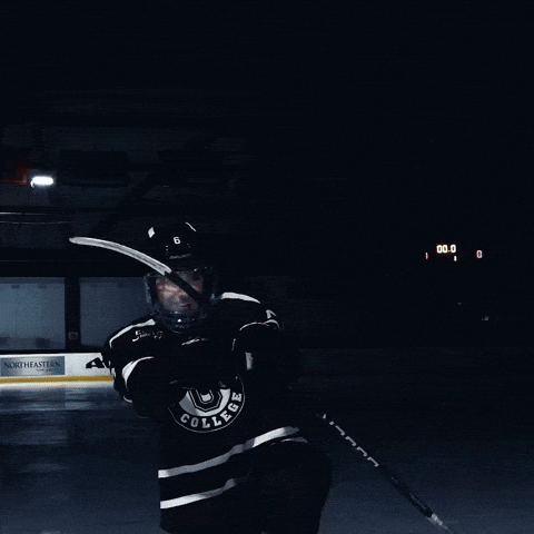 Ecac Hockey GIF by unionmhockey