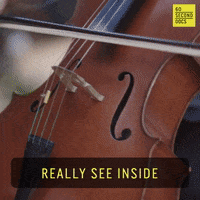 Interested Musical Instrument GIF by 60 Second Docs
