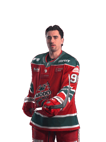 Sticker by MoDo Hockey