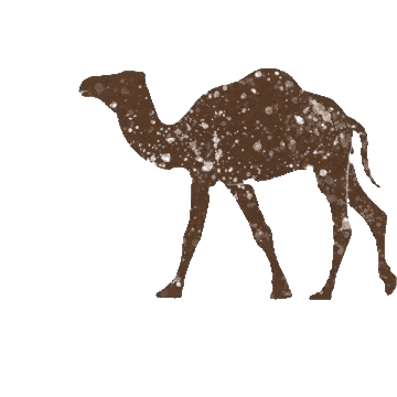 Camel Sticker by Aventurame