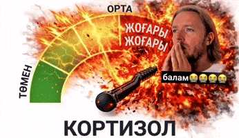 Қазақша Мемдер GIF