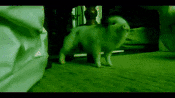 Nhilas Fab Ymir Fightagainstboredom GIF