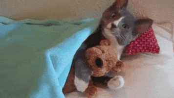 200.gif