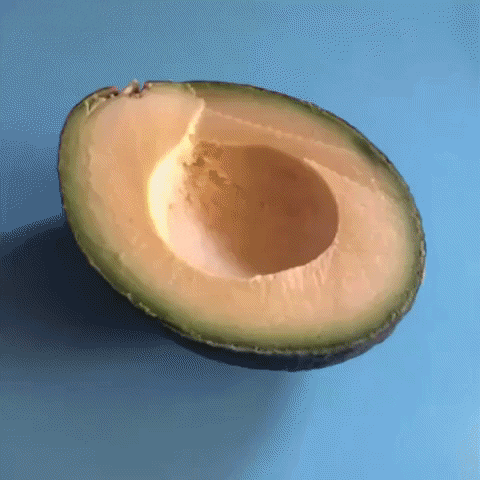 Avocado Toast Avocados GIF - Find & Share on GIPHY