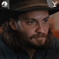 Happy Paramount Network GIF by Yellowstone
