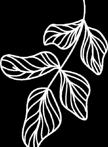 Plants GIF