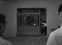 thecoolidge-wes-anderson-benicio-del-toro-the-french-dispatch-oVZ6sy1O5tnyGJtboX