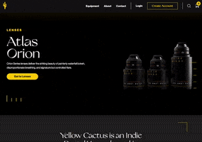 Yellow Cactus GIF