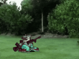 Animated GIF