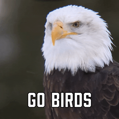 Vamos-eagles GIFs - Get the best GIF on GIPHY
