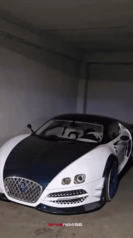 Rp1 Papian GIF