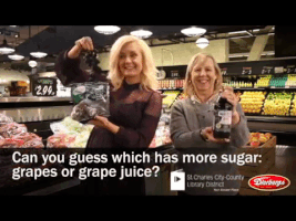 katiemariefiscus  GIF