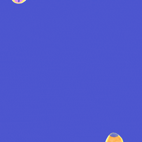 Cat Love GIF