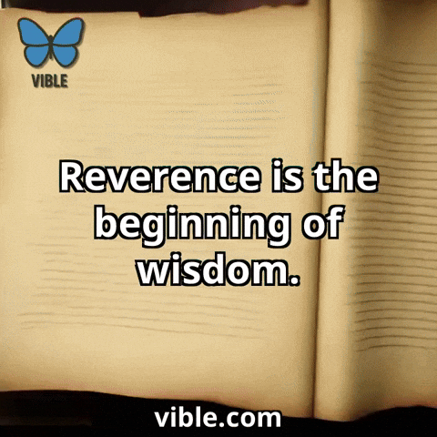 Knowledge Scripture GIF by Vible