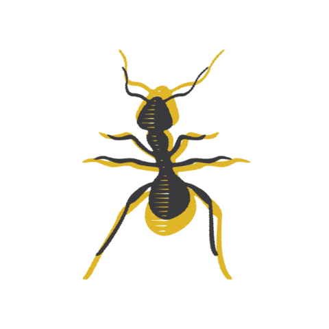 Ant Sticker