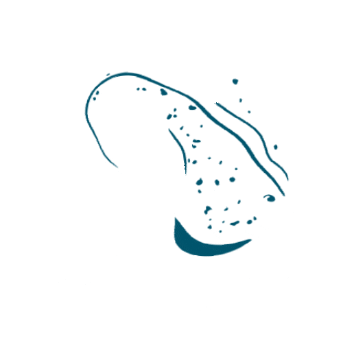 StingrayDivers Sticker