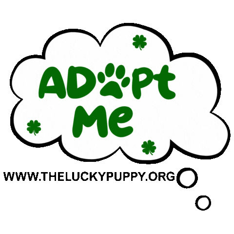 Dog Adopt Me Sticker by Morgan