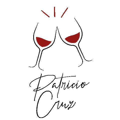 Patricio Cruz Sticker by encasacba