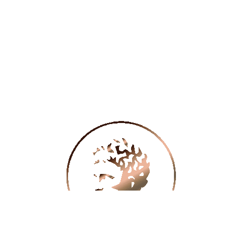 DracmaCapital Sticker