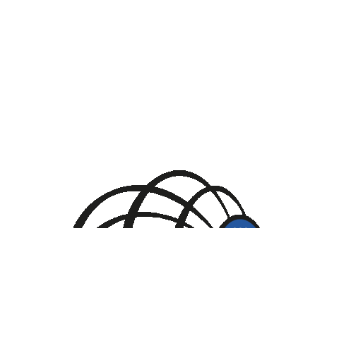 PADELDOME Sticker