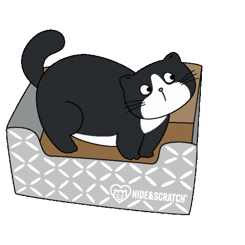 Fat Cat Sticker by Hide & Scratch