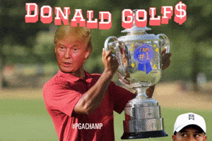 Donaldtrump GIF