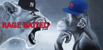 Mets Yankees GIF