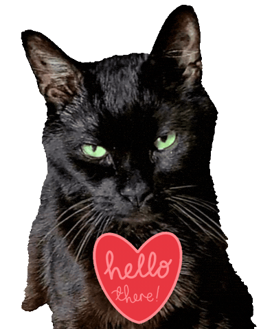 Black Cat Hello Sticker