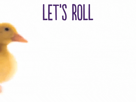Lets Go Pig GIF by TELUS