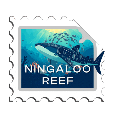 Whale Shark Sticker by Western Australia
