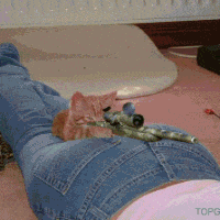 [Image: 200w.gif#39]