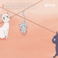 Sailor Moon Gatos GIF by Netflix España