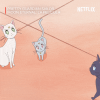 Sailor Moon Gatos GIF by Netflix España