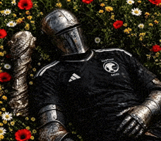 المنتخب السعودي GIF