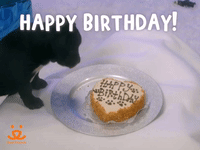 Happy-birthday-animated GIFs - Get the best GIF on GIPHY