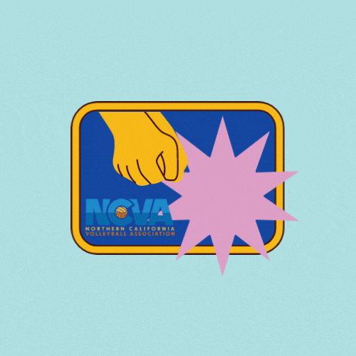 Northern California Volleyball Association GIF