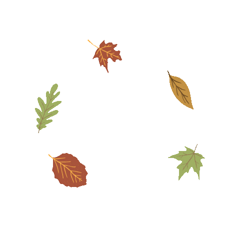 Vibes Fall Sticker by Vilas County, Wisconsin