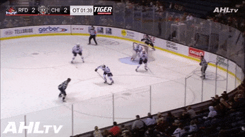 Chicago Wolves GIF