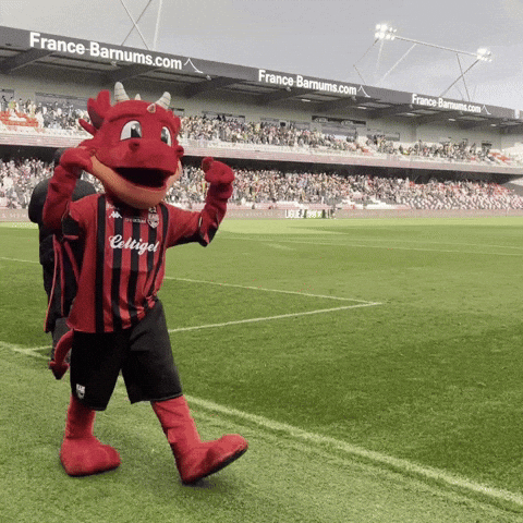 Football Dragon GIF