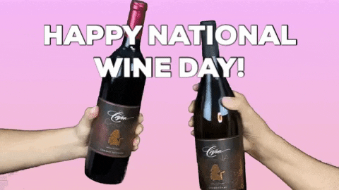 Giphy - Cheers Drinking Wine GIF by Leah Van Dale