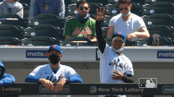 Ny Mets Wave GIF by New York Mets