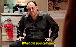 Image result for what did you call me gif sopranos